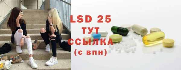 ПСИЛОЦИБИНОВЫЕ ГРИБЫ Арсеньев